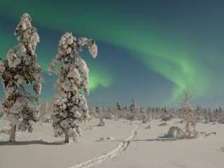 Фото Дома для отпуска Holiday Home Aurora cabin г. Kakslauttanen